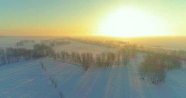 Arktik çayırlı soğuk kış manzarası, karla kaplı ağaçlar ve ufukta sabah güneşleri..