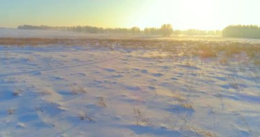 Arktik çayırlı soğuk kış manzarası, karla kaplı ağaçlar ve ufukta sabah güneşleri..