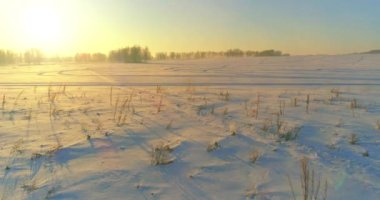 Arktik çayırlı soğuk kış manzarası, karla kaplı ağaçlar ve ufukta sabah güneşleri..