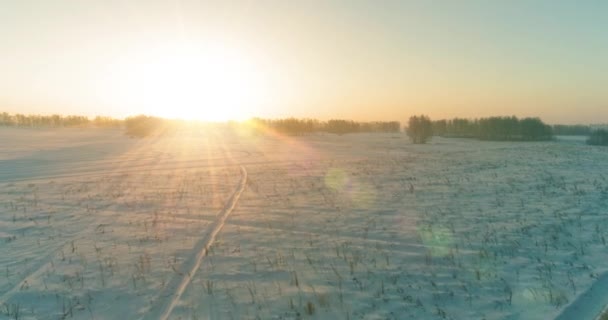 Drohnenaufnahme der kalten Winterlandschaft mit arktischem Feld, Bäumen mit Frostschnee und Morgensonnenstrahlen über dem Horizont. — Stockvideo