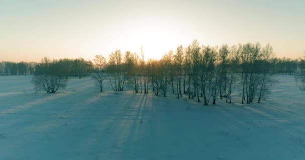 Flygdrönare syn på kallt vinterlandskap med arktiska fält, träd täckta med frost snö och morgonsol strålar över horisonten. — Stockvideo