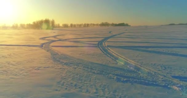 Vue aérienne par drone du paysage hivernal froid avec champ arctique, arbres couverts de neige verglaçante et rayons du soleil matinaux au-dessus de l'horizon. — Video