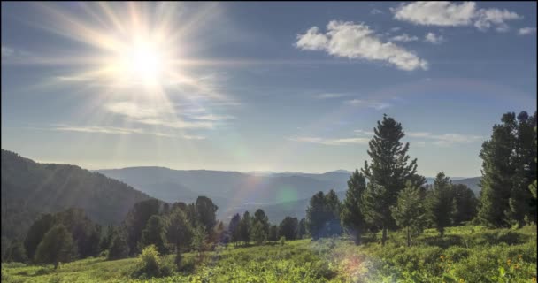 Mountain meadow timelapse. Wild nature and rural field. Clouds, trees, green grass and sun rays movement. Camera motion. — Stock Video