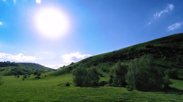 Timelapse på fjällängen på sommaren. Moln, träd, grönt gräs och solstrålar rörelse. — Stockvideo