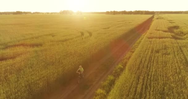 Widok z lotu ptaka na młodego chłopca, który jeździ na rowerze przez pole trawy pszennej na starej wiejskiej drodze. Światło słoneczne i promienie. — Wideo stockowe
