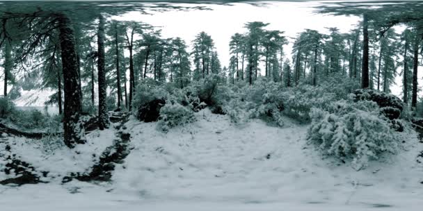 山湖360 vr在冬季.野生的自然和高山山谷。青翠的松树林和天空中的云彩. — 图库视频影像