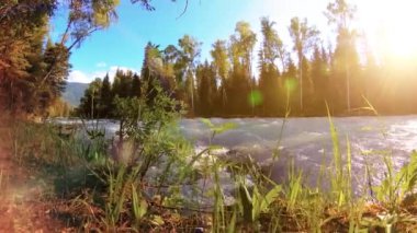 Dağ nehri kıyısındaki çayır. Yeşil çimlerle, çam ağaçlarıyla ve güneş ışınlarıyla kaplı bir manzara. Motorlu kaydırma kulesinde hareket.