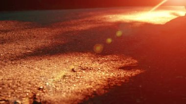 Asfalt yolda koşan sporcu. Kırsal şehir parkı. Yeşil ağaç ormanı ve ufukta güneş ışığı.