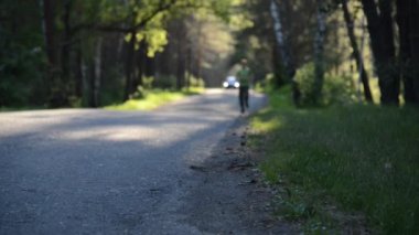 Asfalt yolda koşan sporcu. Kırsal şehir parkı. Yeşil ağaç ormanı ve ufukta güneş ışığı.