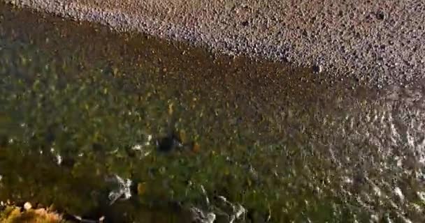 Volo a mezz'aria sul fiume di montagna fresco e pulito al soleggiato mattino d'estate. Movimento verticale — Video Stock