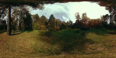 Bir şehir parkının UHD 4K 360 VR Sanal Gerçekliği. Sonbaharda ya da yaz gününde ağaçlar ve yeşil çimenler