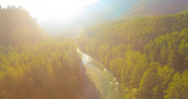 Güneşli yaz sabahında kayalarla birlikte taze, hızlı dağ nehri üzerinde alçak irtifa uçuşu.. — Stok video