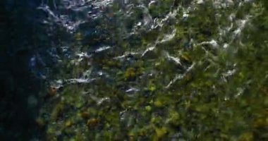 Güneşli yaz sabahında kayalarla birlikte taze, hızlı dağ nehri üzerinde alçak irtifa uçuşu..