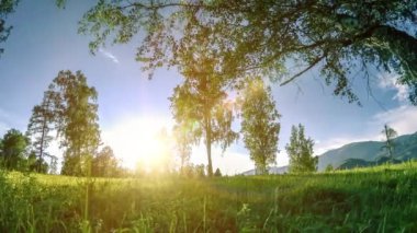 Yaz veya sonbahar aylarında dağ çayır zaman atlamalı. Vahşi doğa ve kırsal alan. Motorlu sürgü dolly hareketi.
