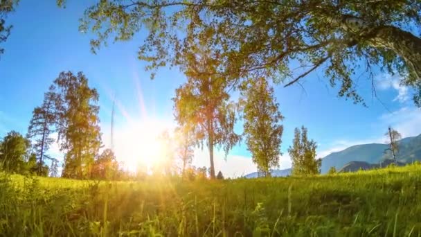 Mountain meadow time-lapse at the summer or autumn time. Wild nature and rural field. Motorised slider dolly movement. — Stock Video