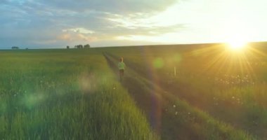 Sportif çocuk yaz yağmurunda yeşil buğday tarlasında koşar. Kırsal çayırlarda akşam sporu alıştırmaları. Mutlu bir çocukluk sağlıklı bir yaşam biçimidir. Radikal hareket, güneş ışınları ve ot.