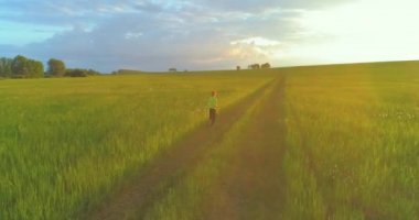Sportif çocuk yeşil buğday tarlasında koşuyor. Kırsal çayırlarda akşam sporu alıştırmaları. Mutlu bir çocukluk sağlıklı bir yaşam biçimidir. Radikal hareket, güneş ışınları ve ot.