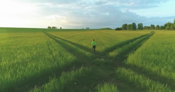 Спортивна дитина проходить через зелене пшеничне поле. Вечірні спортивні тренування на сільському лузі. Щасливе дитинство це здоровий спосіб життя. Радіальний рух, сонячні промені і трава . — стокове відео