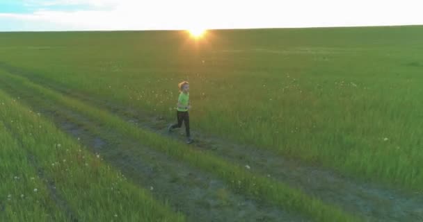 A criança desportiva atravessa um campo de trigo verde. Exercícios de treino desportivo nocturno no prado rural. Uma infância feliz é um modo de vida saudável. Movimento radial, raios de sol e grama. — Vídeo de Stock