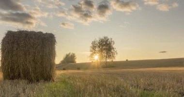 Yaz günbatımında düz tepe çayır zaman çizelgesi. Vahşi doğa ve çim tarlasında kırsal samanlıklar. Güneş ışınları ve yeşil ağaçlar. Motorlu doli kaydırıcı