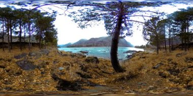 Sonbaharın sonlarında güzel bir dağ nehrinin görüntüsü. Ulusal park, çayır, bulutlu bir günde nehir kıyısı.