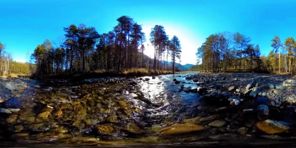 360 VR wirtualna rzeczywistość dzikich gór, lasów sosnowych i rzek. Park narodowy, łąki i promienie słoneczne. — Wideo stockowe