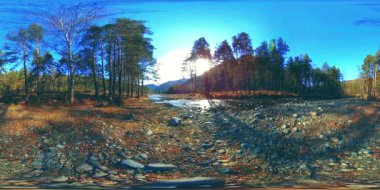 Vahşi dağların, çam ormanlarının ve nehir akışlarının 360 VR sanal gerçekliği. Ulusal park, çayır ve güneş ışınları.