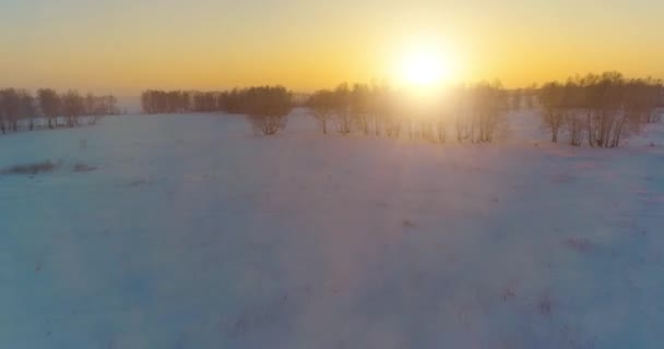 Luchtfoto drone uitzicht op koud winterlandschap met poolveld, bomen bedekt met vorst sneeuw en ochtendzon stralen over horizon. — Stockvideo