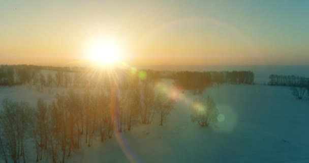 Vista aérea do drone da paisagem fria do inverno com campo ártico, árvores cobertas com neve da geada e raios do sol da manhã sobre o horizonte. — Vídeo de Stock