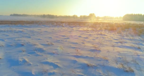 Letecký bezpilotní pohled na studenou zimní krajinu s arktickým polem, stromy pokryté mrazivým sněhem a ranními slunečními paprsky nad obzorem. — Stock video