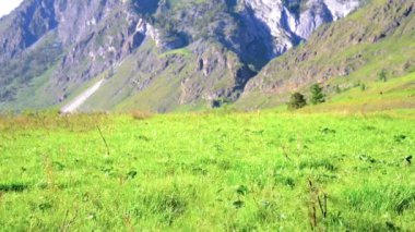 Sırt çantası ile yeşil dağ çayır üzerinde yürüyen adam hiking. Yaz spor ve eğlence kavramı.