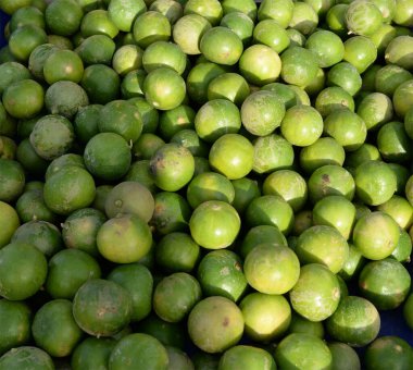 Taze yeşil kireç arkaplan resmi ama güzel bir ten değil..