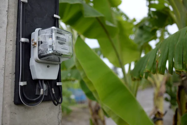 Primer Plano Las Fotos Del Medidor Eléctrico Con Plátano Como Imagen de archivo