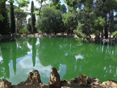 Parktaki yeşil göl