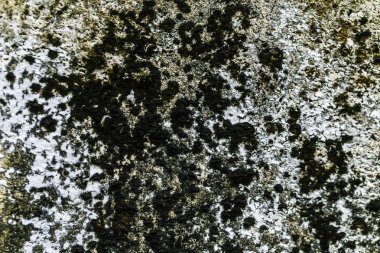 Beton duvar, kentsel arka plan eski grunge Oda