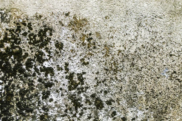 Alter Grunge Raum Mit Betonwand Urbaner Hintergrund — Stockfoto