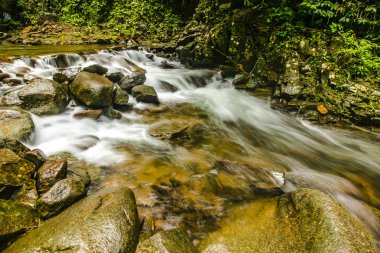 Manzara şelale tropikal ormanlarda. Namtok Phlio Milli Parkı, Chanthaburi Tayland at.