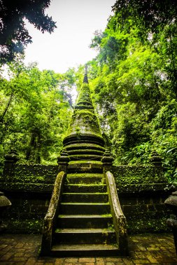 Eski pagoda ve yosun Phlio şelale Milli Park, Chanthaburi Tayland at.