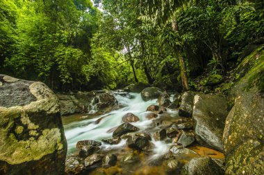 Manzara şelale tropikal ormanlarda. Namtok Phlio Milli Parkı, Chanthaburi Tayland at.