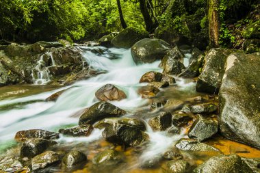 Manzara şelale tropikal ormanlarda. Namtok Phlio Milli Parkı, Chanthaburi Tayland at.