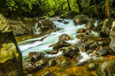 Manzara şelale tropikal ormanlarda. Namtok Phlio Milli Parkı, Chanthaburi Tayland at.