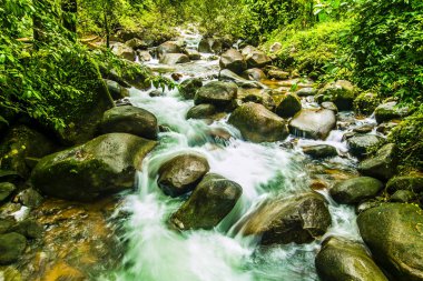 Manzara şelale tropikal ormanlarda. Namtok Phlio Milli Parkı, Chanthaburi Tayland at.