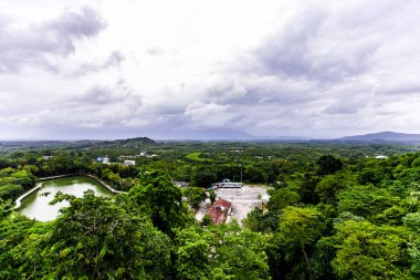 mavi gökyüzü ile renk arkaplan üzerinde eski büyük ağaç