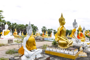 Buda heykeli ve mavi gökyüzüne Wat Phai Rong Wua,: Suphanburi, Thailand.