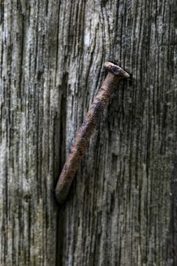 arka planını marangozluk parlak tırnaklar