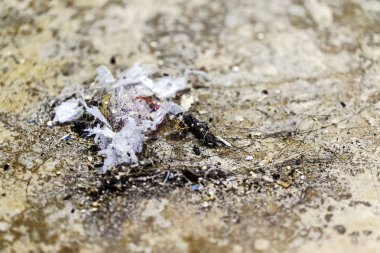 leke tozu yerde kirli