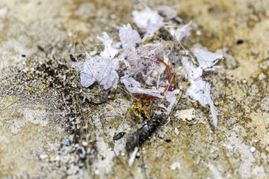 leke tozu yerde kirli