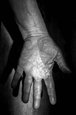 Eldeki gökkuşağı renginin yakınçekimi 