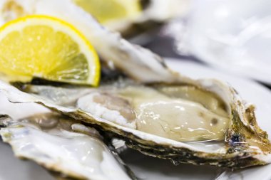 Geleneksel balık pazarı taze istiridye dolu.