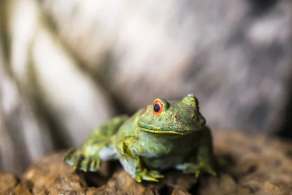 Steingarten Frosch Meditiert Einem Garten — Stockfoto